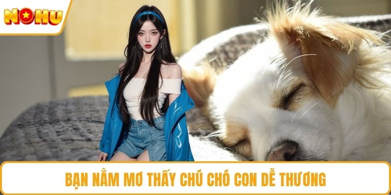 Bạn nằm mơ thấy chú chó con dễ thương