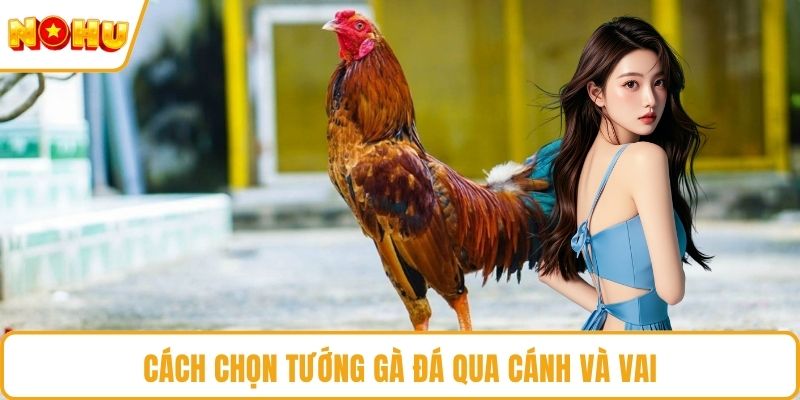 Cách chọn tướng gà đá qua cánh và vai