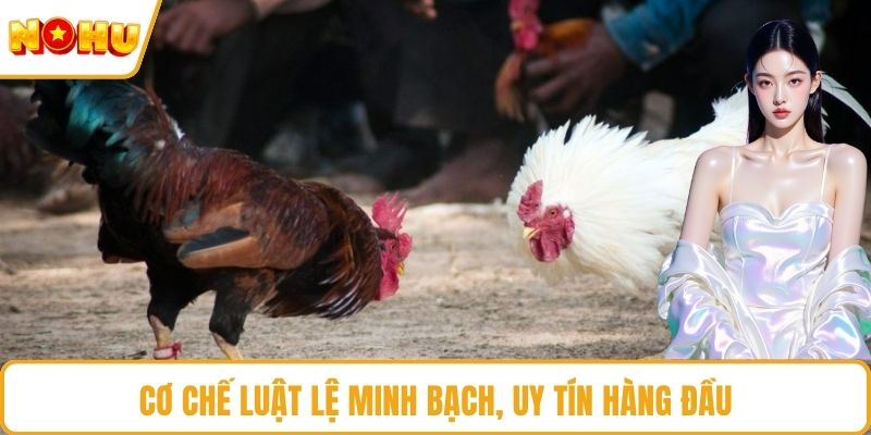 Cơ chế luật lệ minh bạch, uy tín hàng đầu