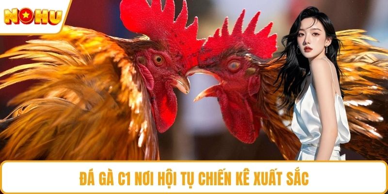 Đá gà C1 nơi hội tụ chiến kê xuất sắc