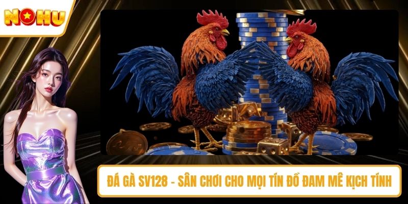 Đá gà SV128