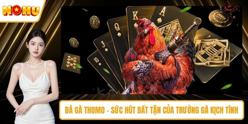 Đá gà Thomo