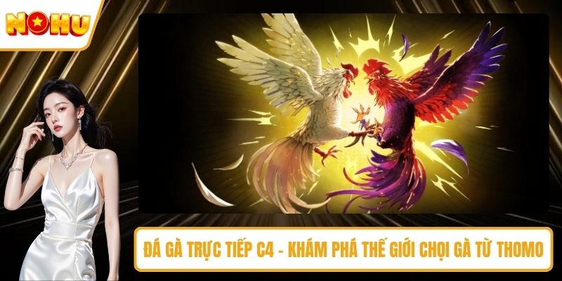 Đá Gà Trực Tiếp C4