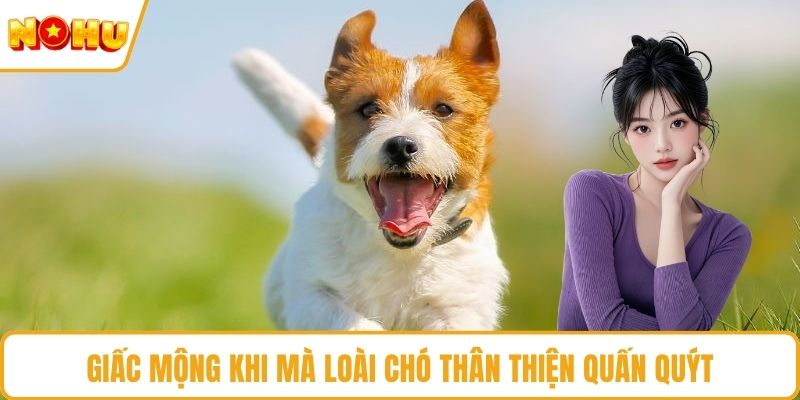 Giấc mộng khi mà loài chó thân thiện quấn quýt