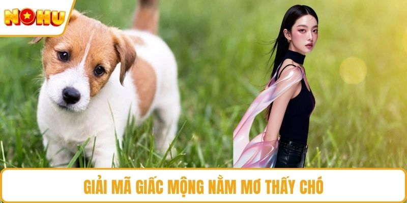 Giải mã giấc mộng nằm mơ thấy chó
