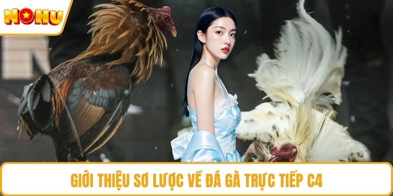 Giới thiệu sơ lược về đá gà trực tiếp C4