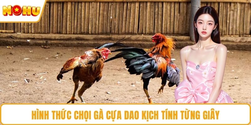 Hình thức chọi gà cựa dao kịch tính từng giây