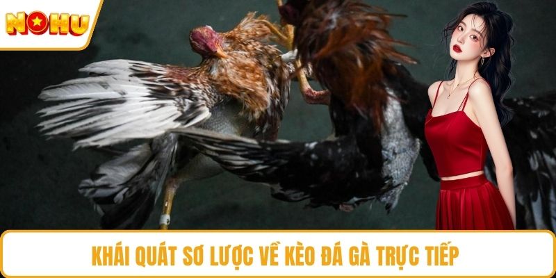 Khái quát sơ lược về kèo đá gà trực tiếp
