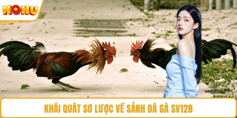 Khái quát sơ lược về sảnh đá gà SV128