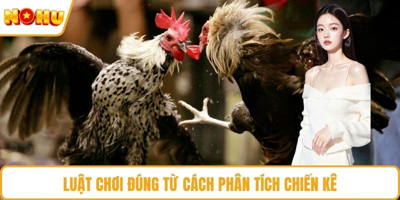 Luật chơi đúng từ cách phân tích chiến kê