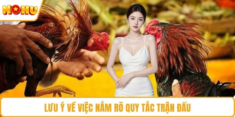 Lưu ý về việc nắm rõ quy tắc trận đấu