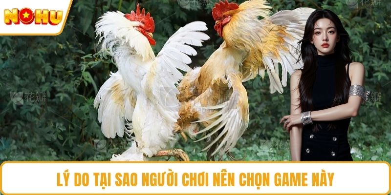 Lý do tại sao người chơi nên chọn game này