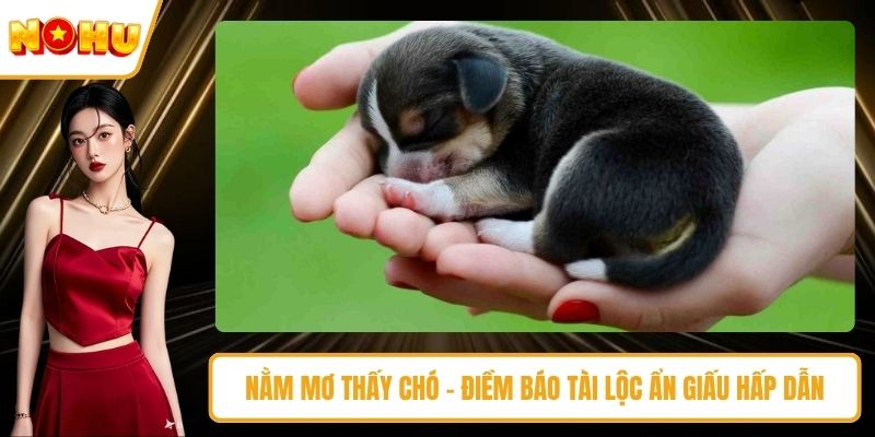 nằm mơ thấy chó