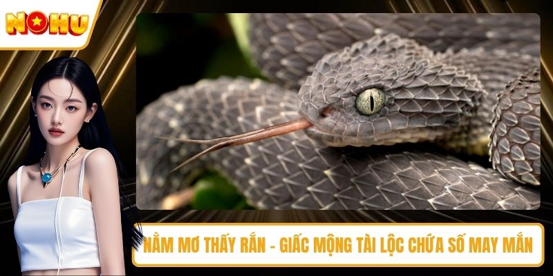 nằm mơ thấy rắn