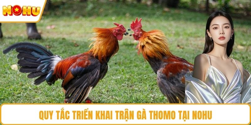 Quy tắc triển khai trận gà Thomo tại NOHU