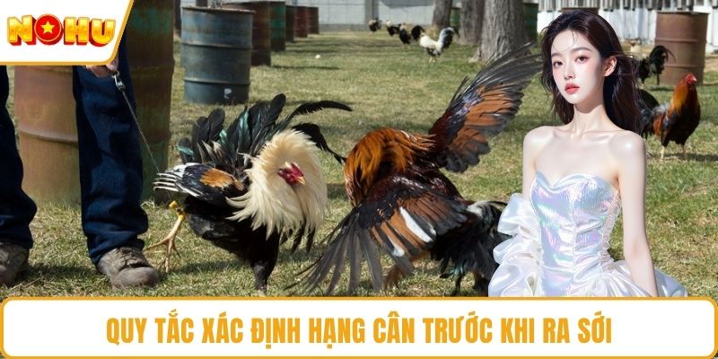 Quy tắc xác định hạng cân trước khi ra sới