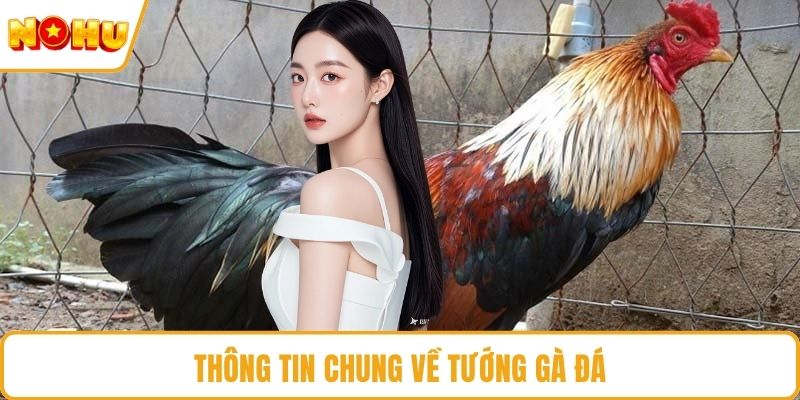 Thông tin chung về tướng gà đá