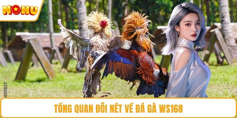 Tổng quan đôi nét về đá gà Ws168