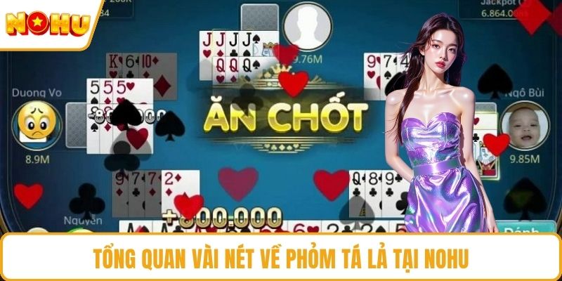 Tổng quan vài nét về phỏm tá lả tại NOHU