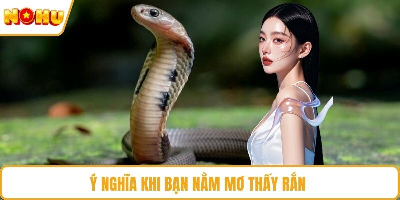 Ý nghĩa khi bạn nằm mơ thấy rắn